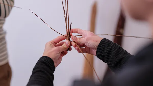Créez une sculpture de papillons et libellules en osier avec Lucie - Image n°2 - Wecandoo
