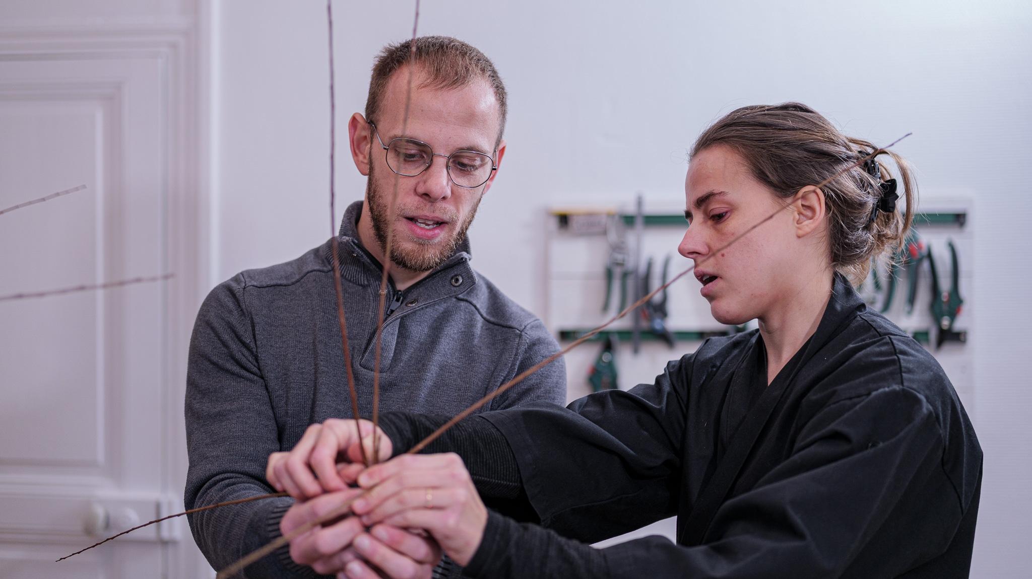 Créez une sculpture de papillons et libellules en osier avec Lucie - Image n°3 - Wecandoo