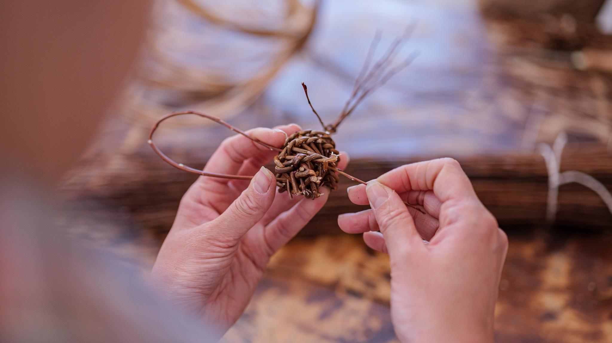 Créez une sculpture de papillons et libellules en osier avec Lucie - Image n°8 - Wecandoo