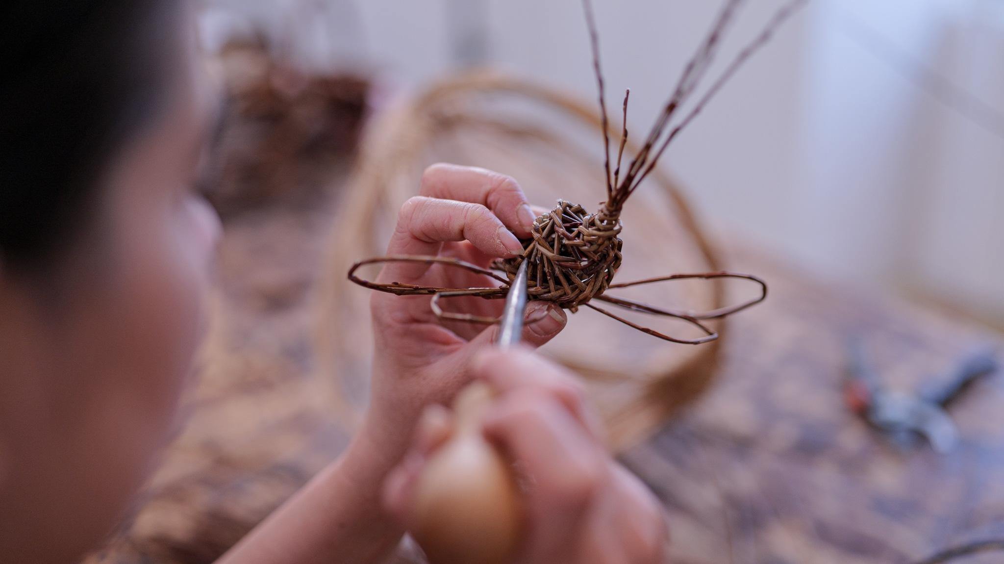 Créez une sculpture de papillons et libellules en osier avec Lucie - Image n°1 - Wecandoo