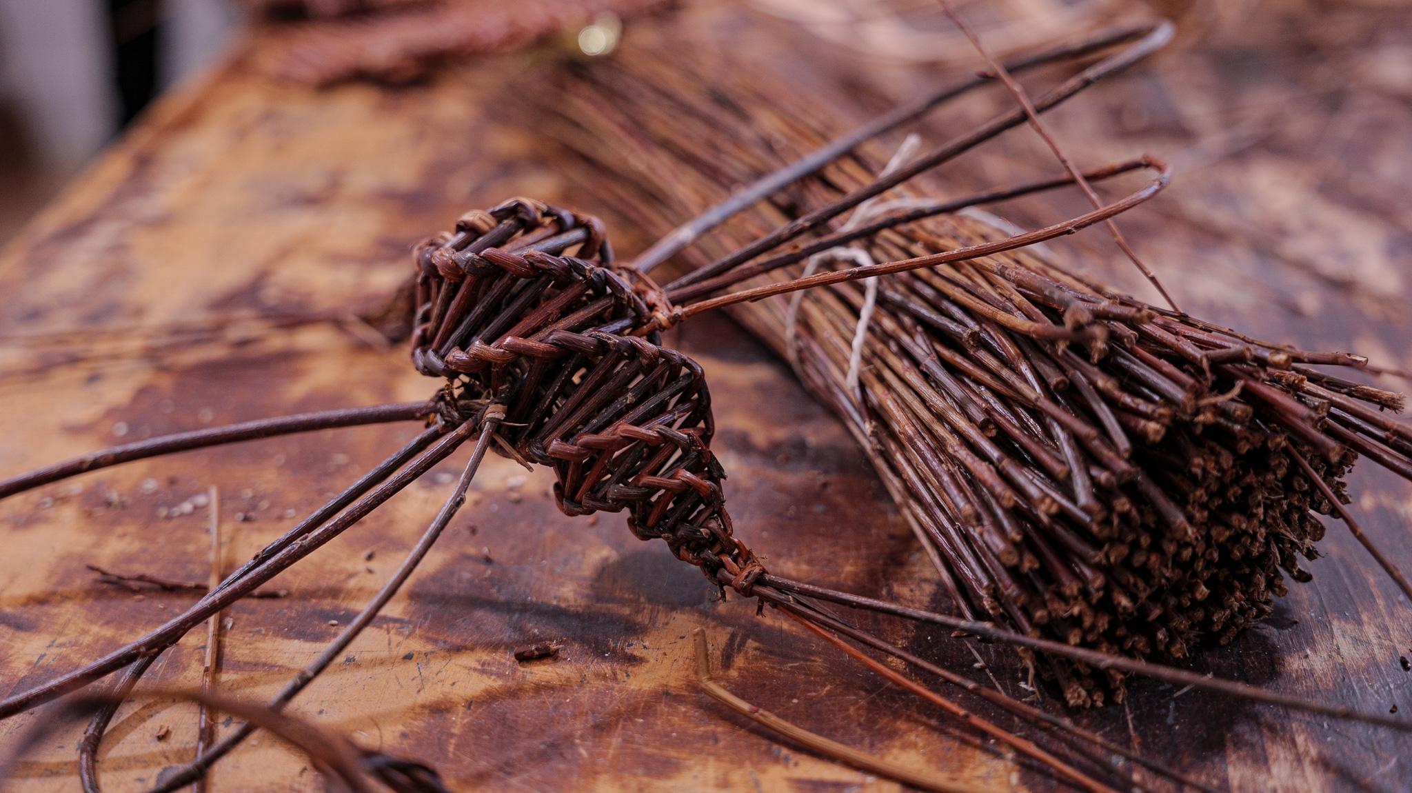 Créez une sculpture de papillons et libellules en osier avec Lucie - Image n°9 - Wecandoo