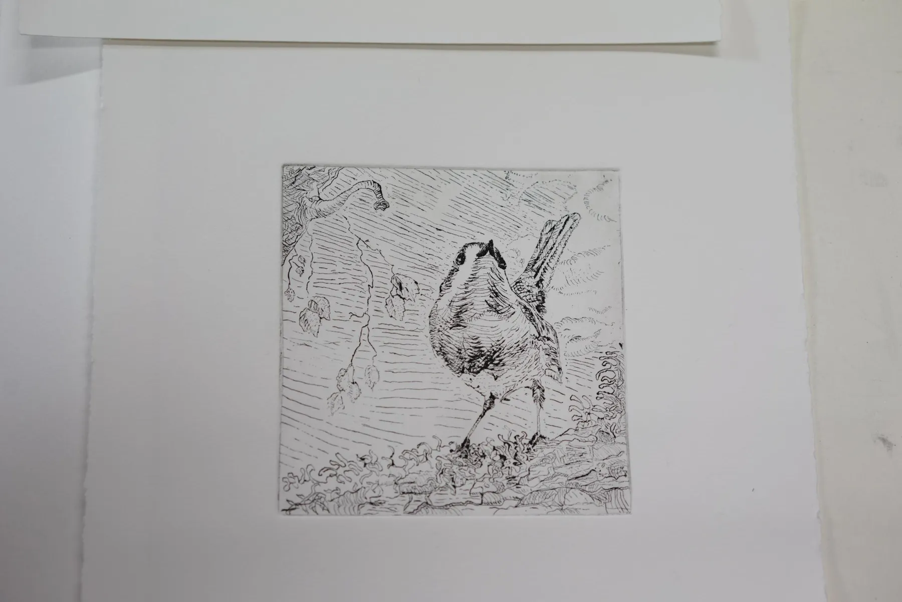 Découvrez la gravure à l’eau-forte sur métal aux côtés de Youmi, Paul, Franc et Marina - Image n°5 - Wecandoo