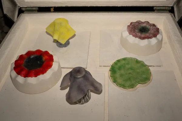 Découvrez la technique du fusing avec Sébastien - Afbeelding nr. 4 - Wecandoo