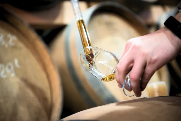 Visitez la plus ancienne distillerie d'Alsace - Image n°3 - Wecandoo