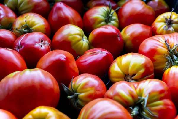 Initiez-vous au maraîchage sur sol vivant avec Brieuc - Image n°2 - Wecandoo