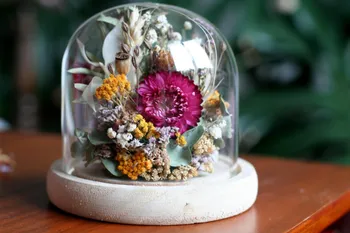 Réalisez votre cloche de fleurs séchées