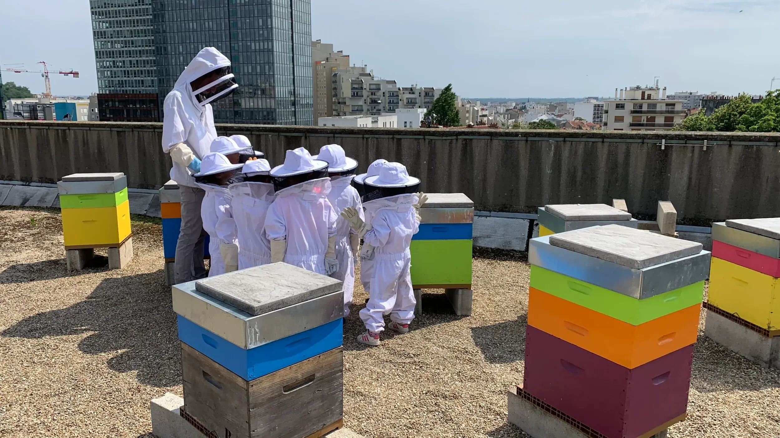 Devenez apiculteur le temps d'une journée