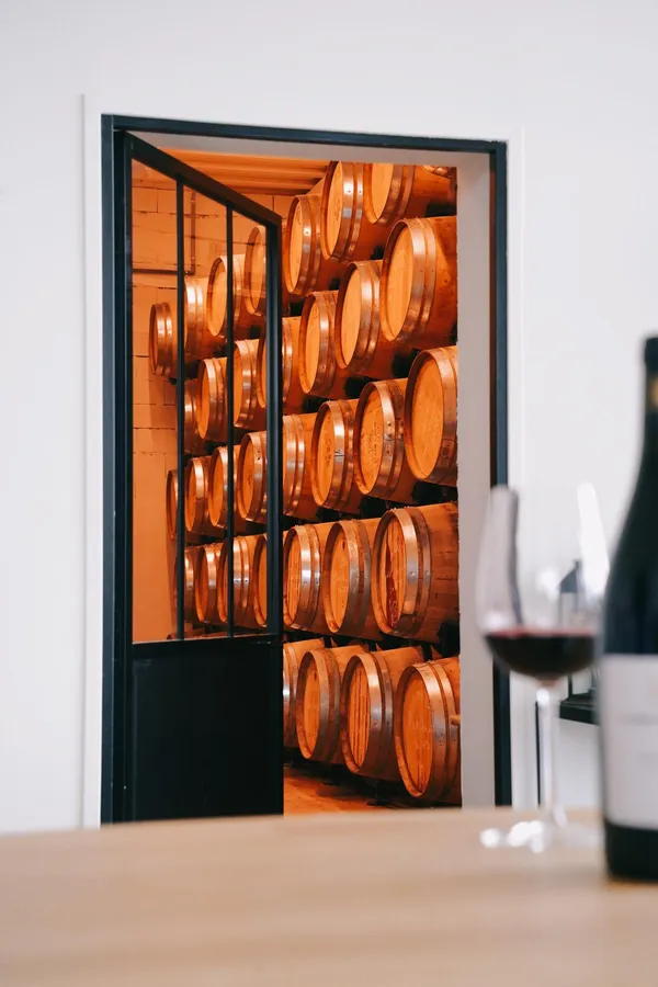 Dégustez une sélection de vins au milieu des vignes - Afbeelding nr. 1 - Wecandoo