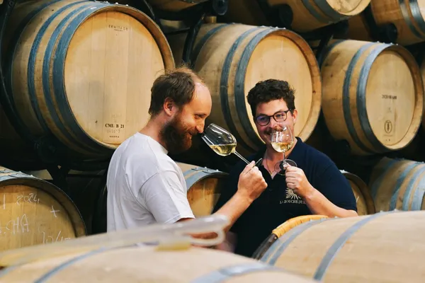 Dégustez une sélection de vins au milieu des vignes - Afbeelding nr. 2 - Wecandoo