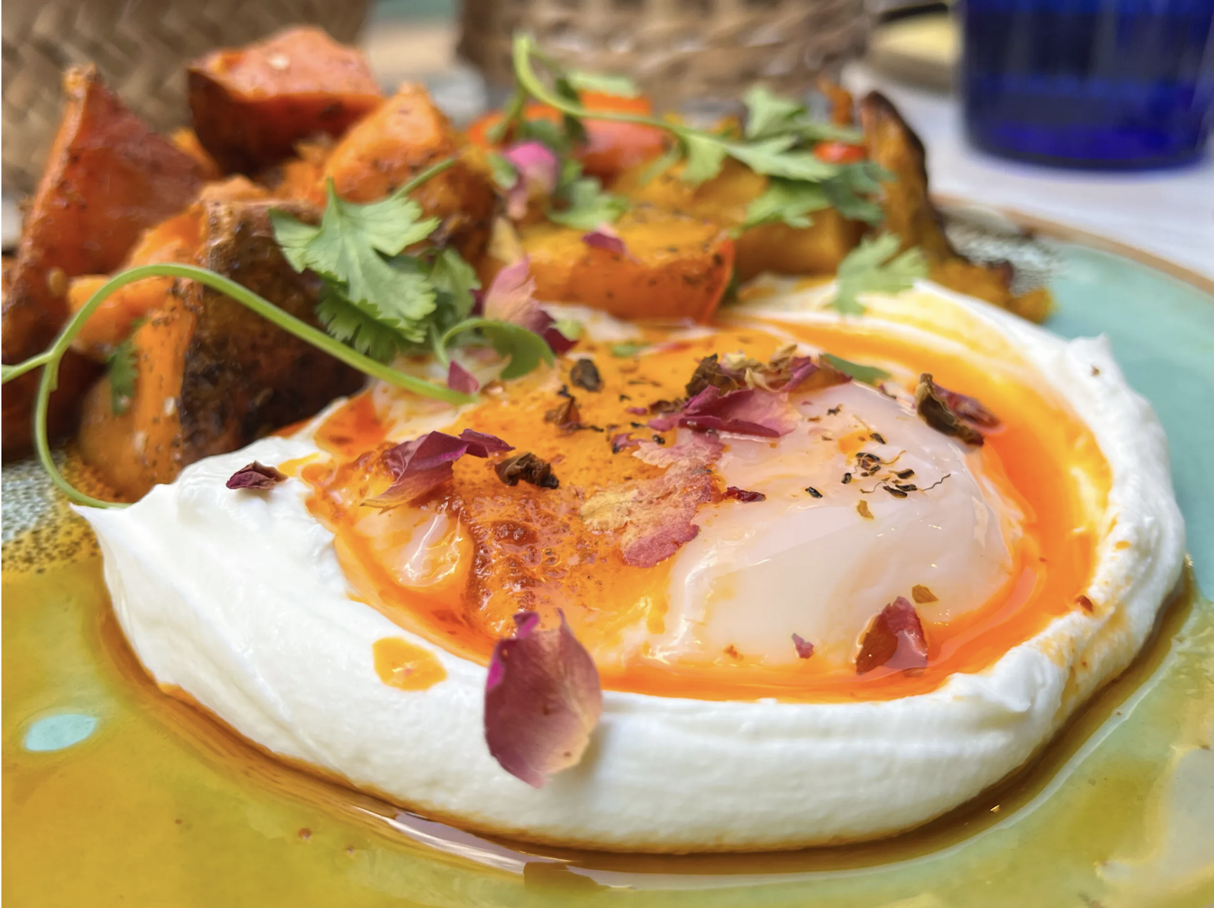 Réalisez un menu gourmand et végétal