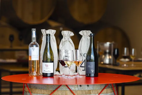 Explorez les vins de la Vallée du Rhône avec Clarisse - Image n°2 - Wecandoo