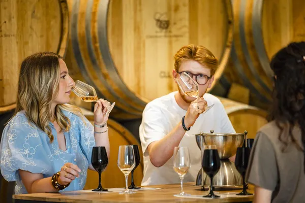 Explorez les vins de la Vallée du Rhône avec Clarisse - Image n°3 - Wecandoo