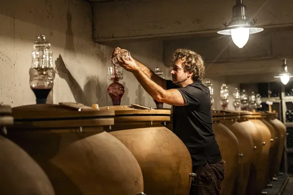 Explorez les vins de la Vallée du Rhône avec Clarisse - Image n°5 - Wecandoo