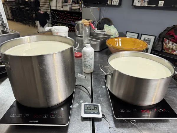 Confectionnez votre halloumi avec Fanny - Image n°3 - Wecandoo