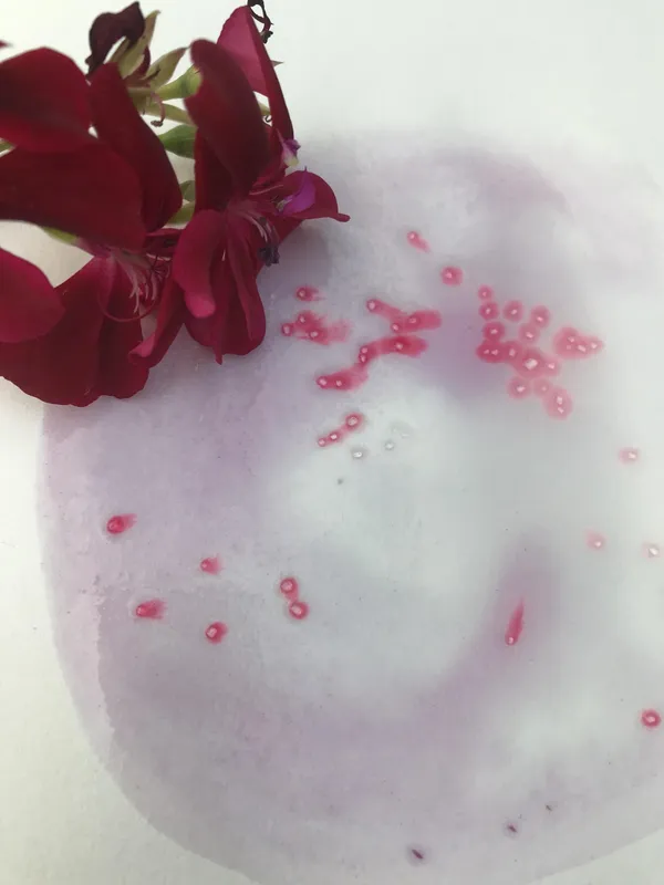 Réalisez vos encres 100% naturelles - Image n°1 - Wecandoo