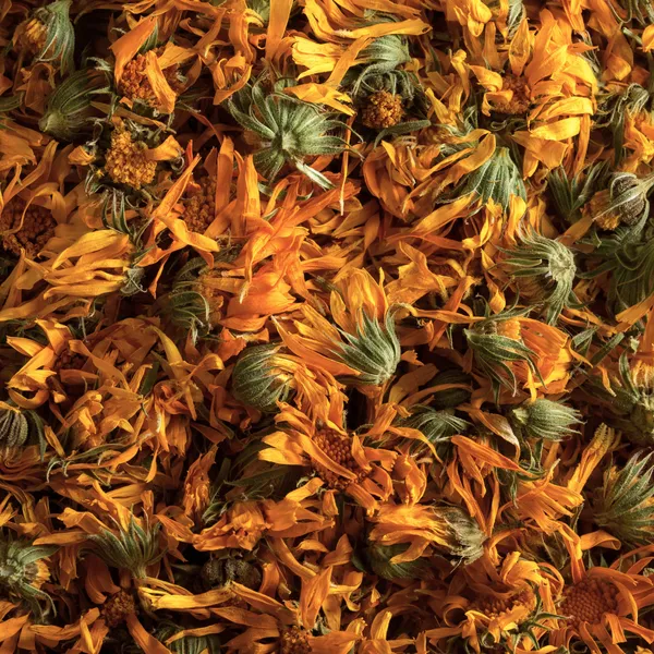 Concevez votre macérat huileux et votre baume de plantes médicinales - Image n°3 - Wecandoo