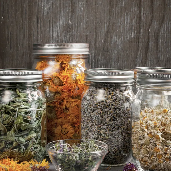 Concevez votre macérat huileux et votre baume de plantes médicinales - Image n°4 - Wecandoo