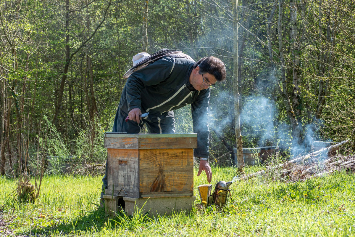 Wecandoo - Initiez-vous à l'apiculture - Image n°2