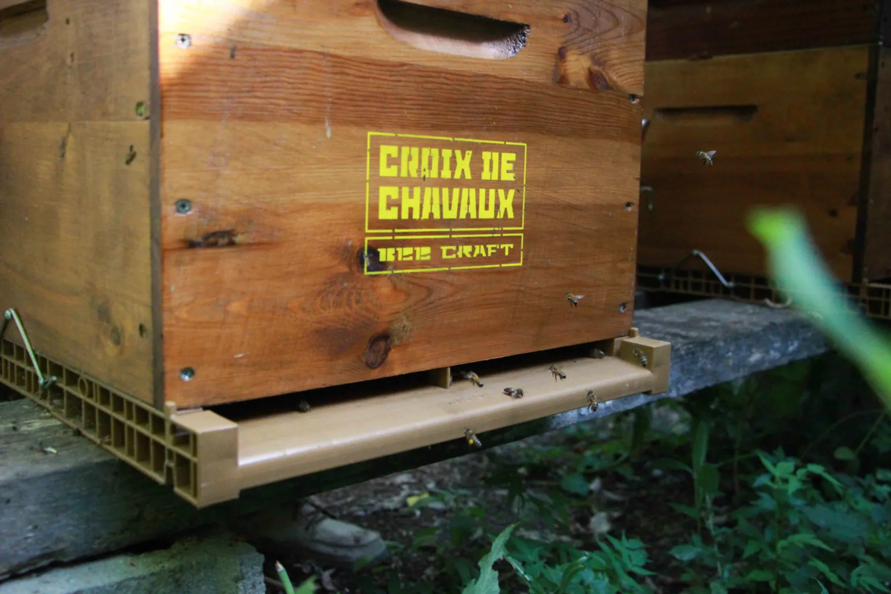 Initiez-vous à l'apiculture - Afbeelding nr. 1 - Wecandoo