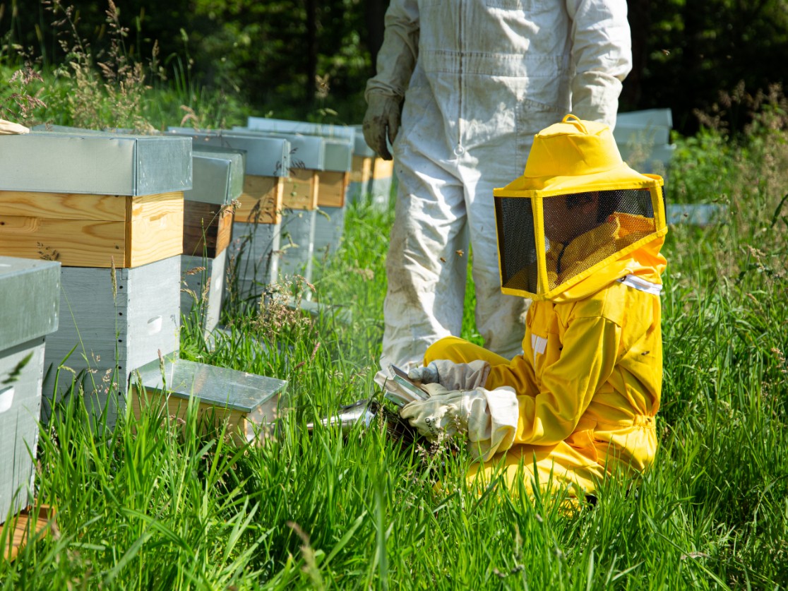 Wecandoo - Découvrez l'apiculture et visitez des ruchers en groupe - Image n°5