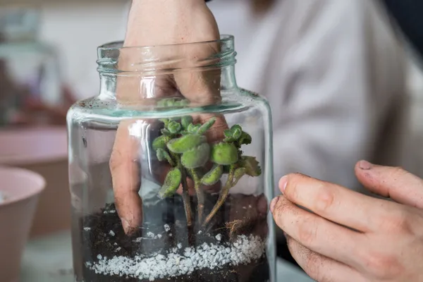 Fabriquez votre terrarium - Afbeelding nr. 4 - Wecandoo