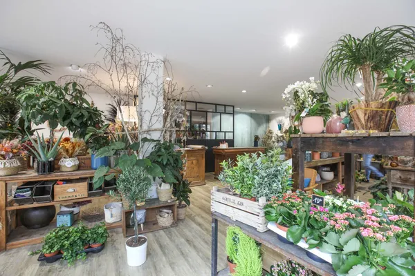 Composez votre terrarium - Image n°1 - Wecandoo