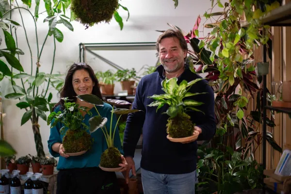 Wecandoo - Réalisez votre kokedama