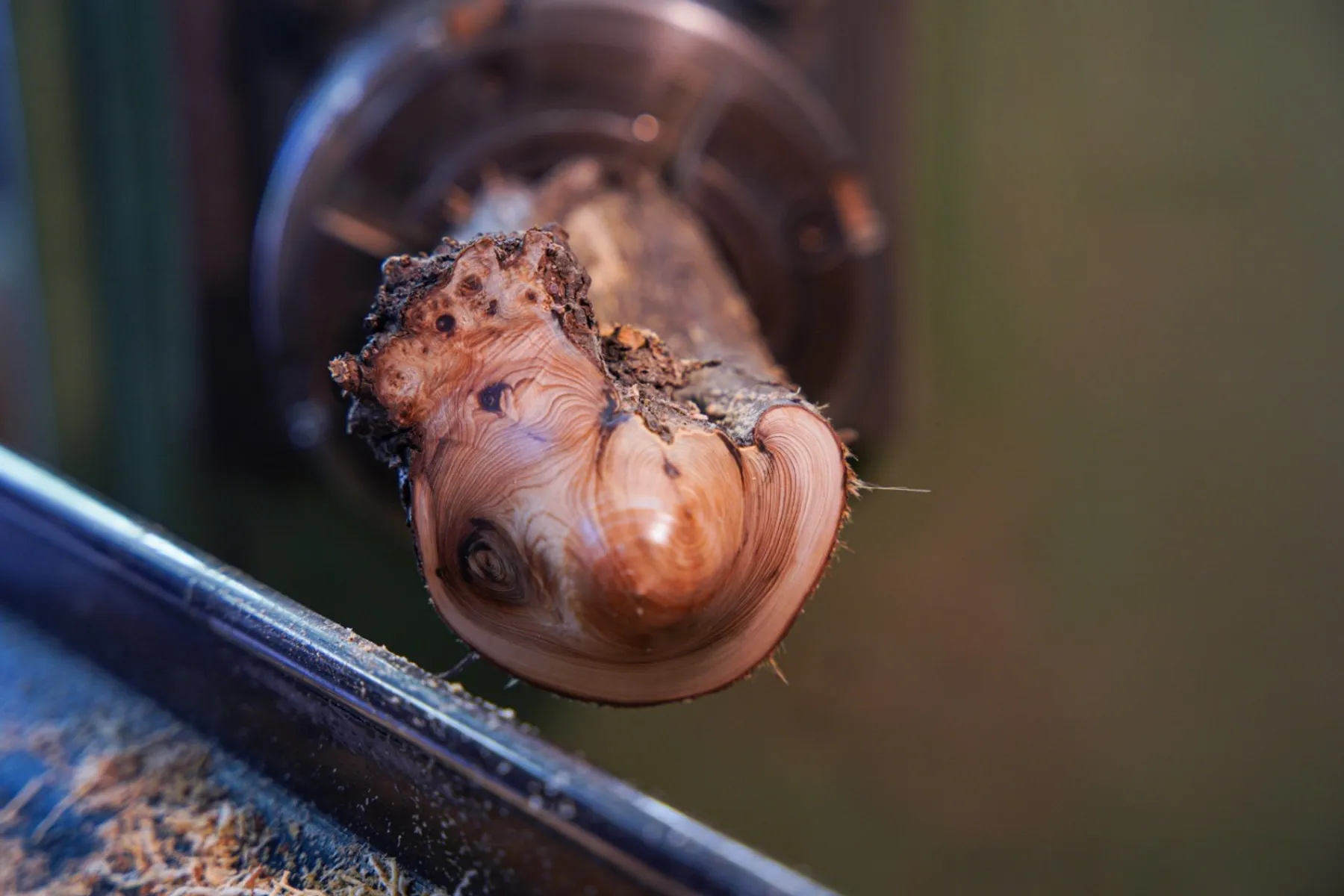 Ludovic-bourgeois - 83 - tourabois21.jpg - Wecandoo