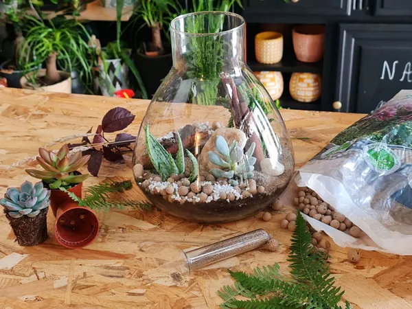 Wecandoo - Créez votre terrarium