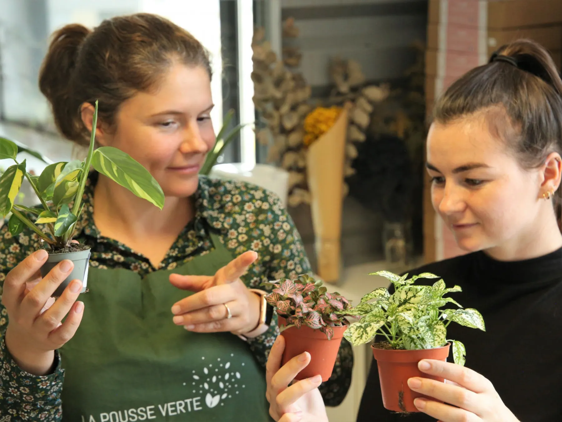 Réalisez votre terrarium - Image n°3 - Wecandoo