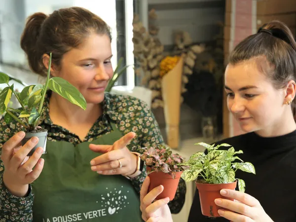 Réalisez votre terrarium - Afbeelding nr. 3 - Wecandoo