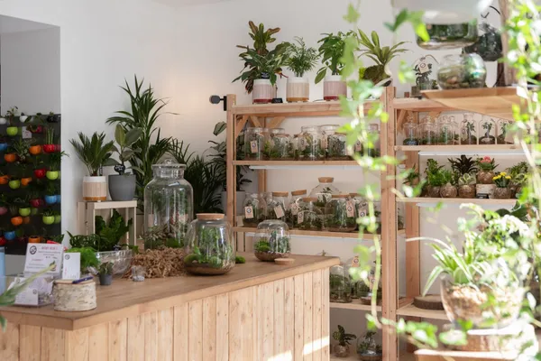 Créez votre grand terrarium (Taille L) - Image n°1 - Wecandoo