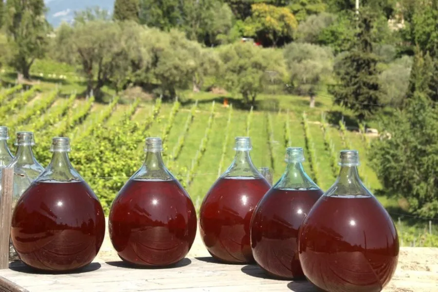 Visitez un domaine viticole et dégustez 6 vins - Image n°1 - Wecandoo