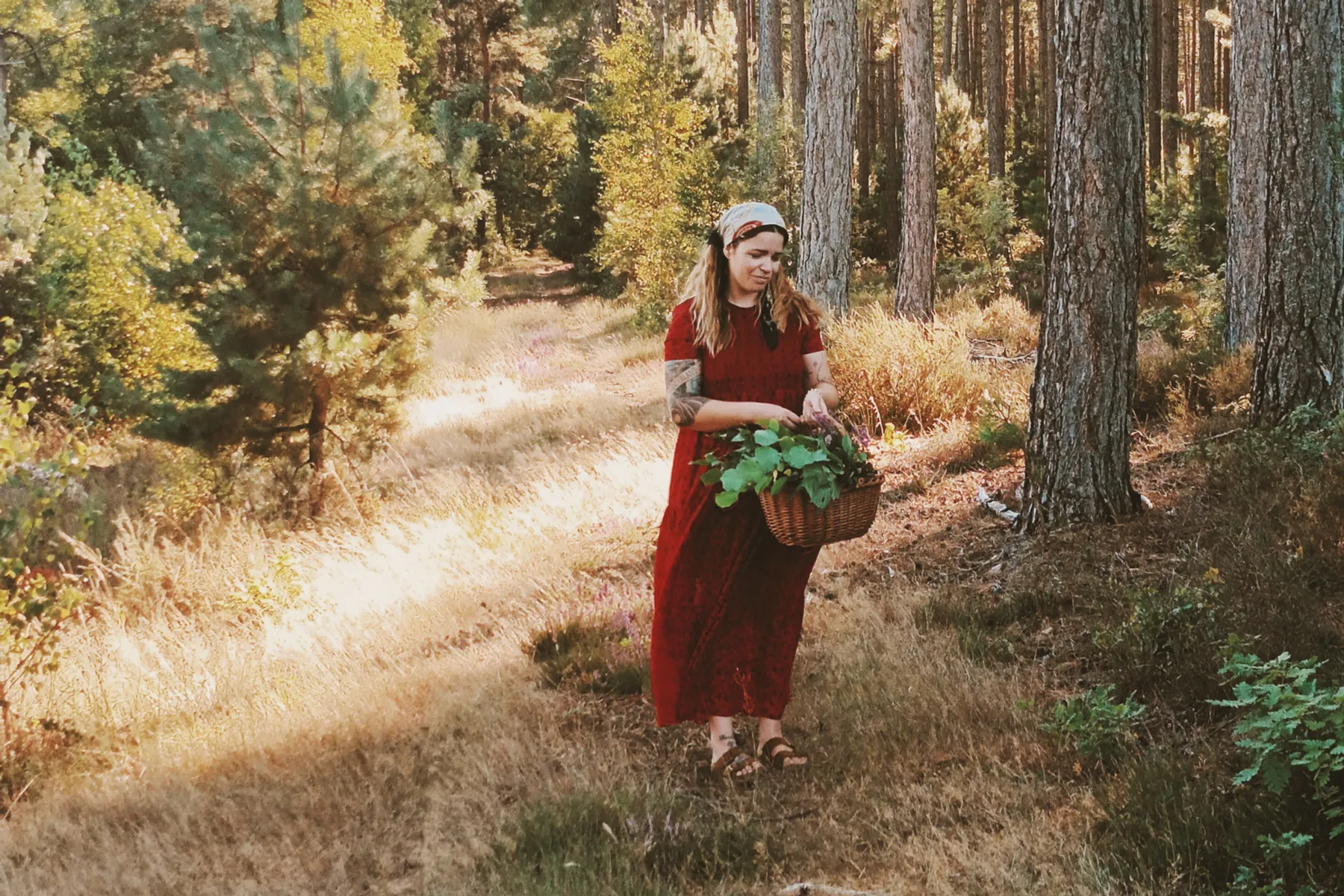 undefined Charlie G.