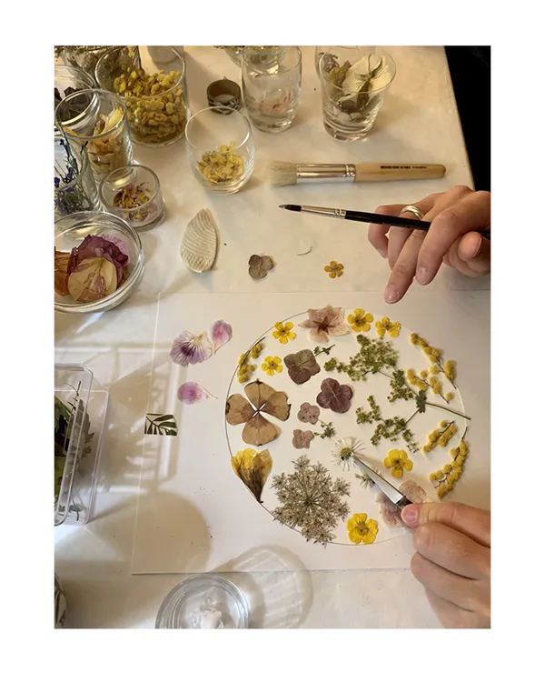 Composez votre herbier en fleurs séchées - Image n°4 - Wecandoo