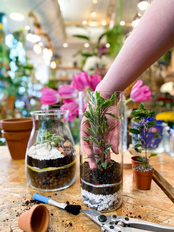 Créez et composez votre terrarium de taille M - Image n°2 - Wecandoo