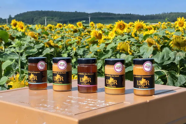 Passez une journée dans la peau d'un apiculteur - Image n°2 - Wecandoo