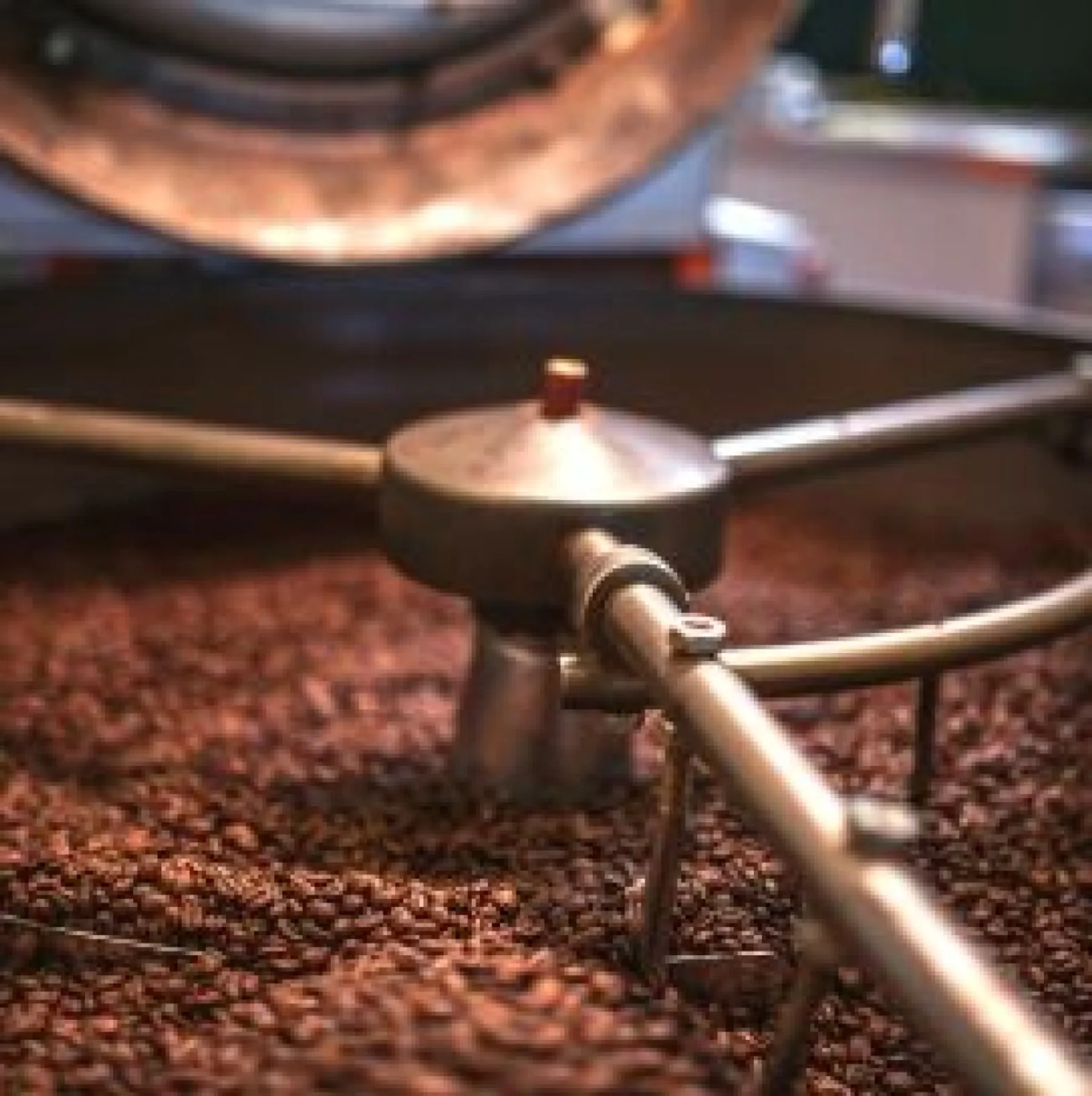 Découvrez l'univers de la torréfaction - Image n°5 - Wecandoo