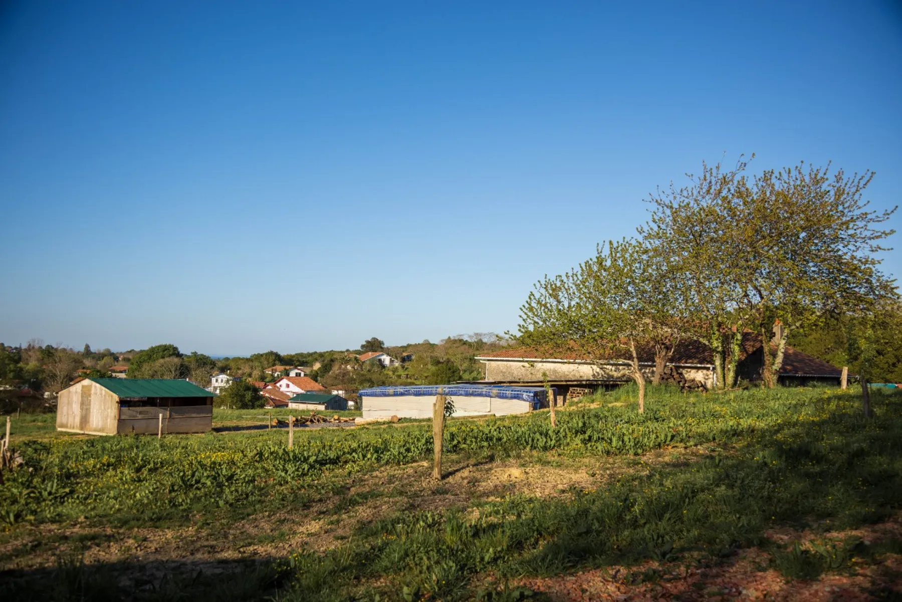 Fabriquez votre pâté et votre jambonneau - Image n°1 - Wecandoo