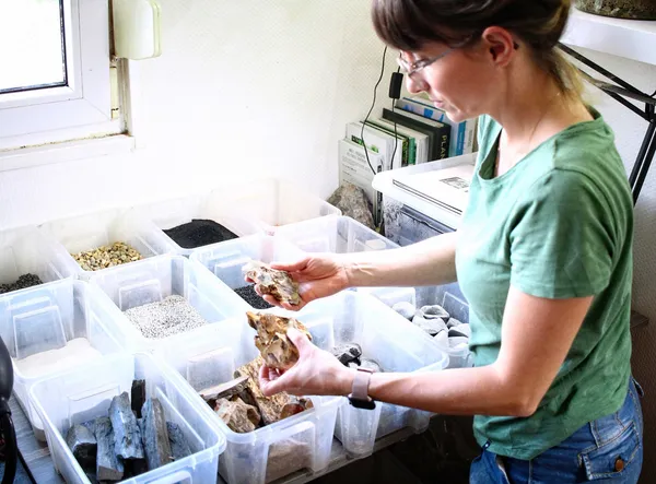 Réalisez votre terrarium - Image n°4 - Wecandoo