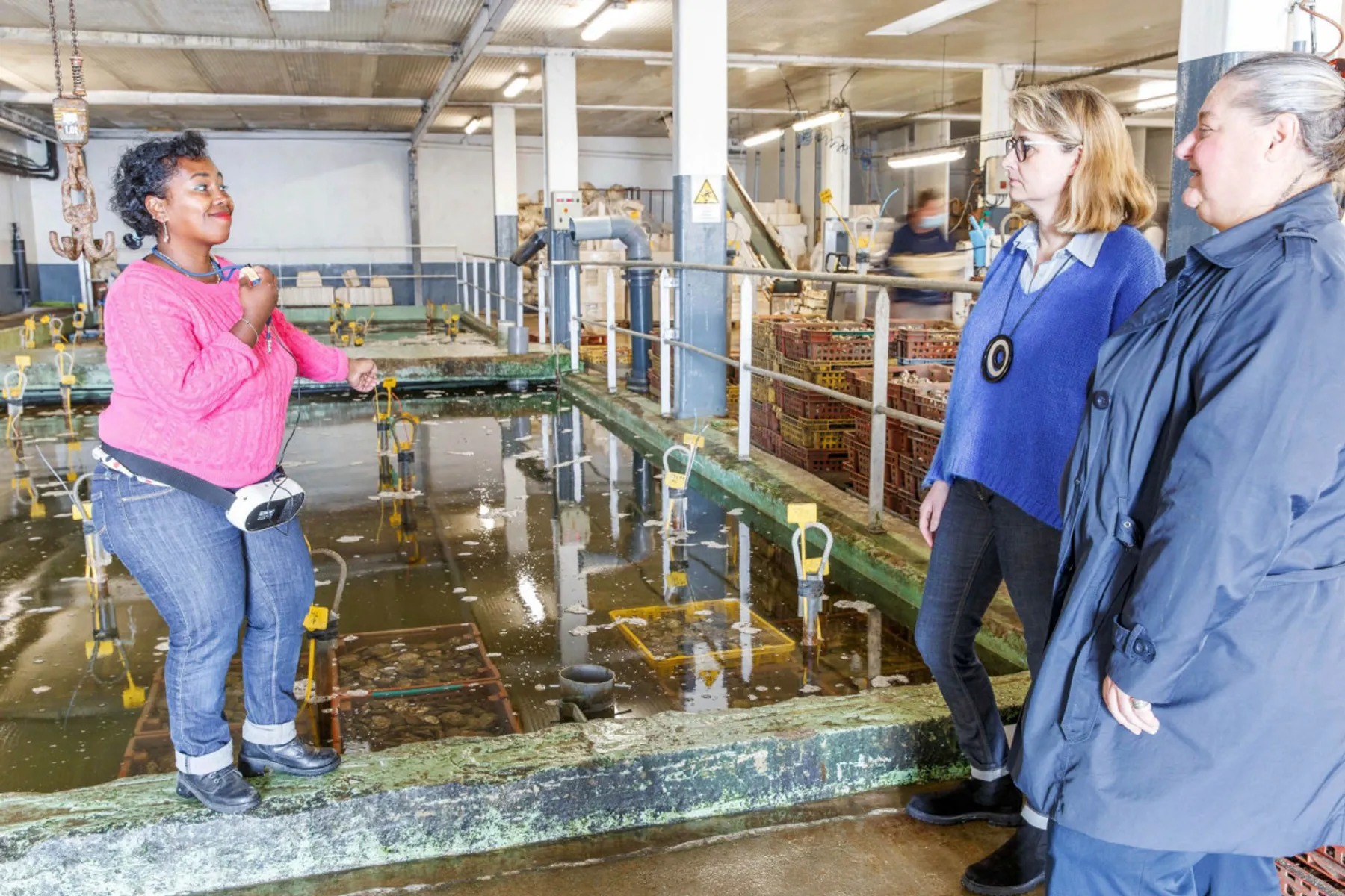 Visitez une exploitation ostréicole et dégustez des huîtres - Afbeelding nr. 2 - Wecandoo