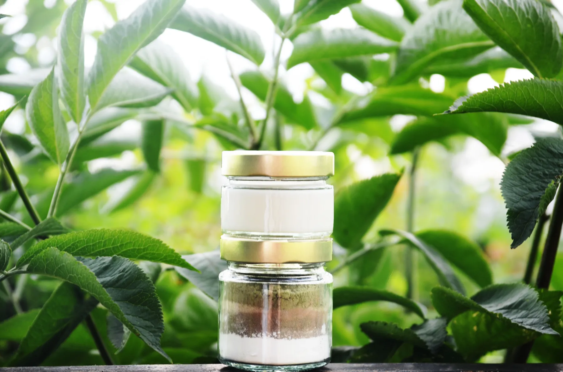 Créez votre kit zéro déchet solide aux 5 utilisations - Image n°1 - Wecandoo