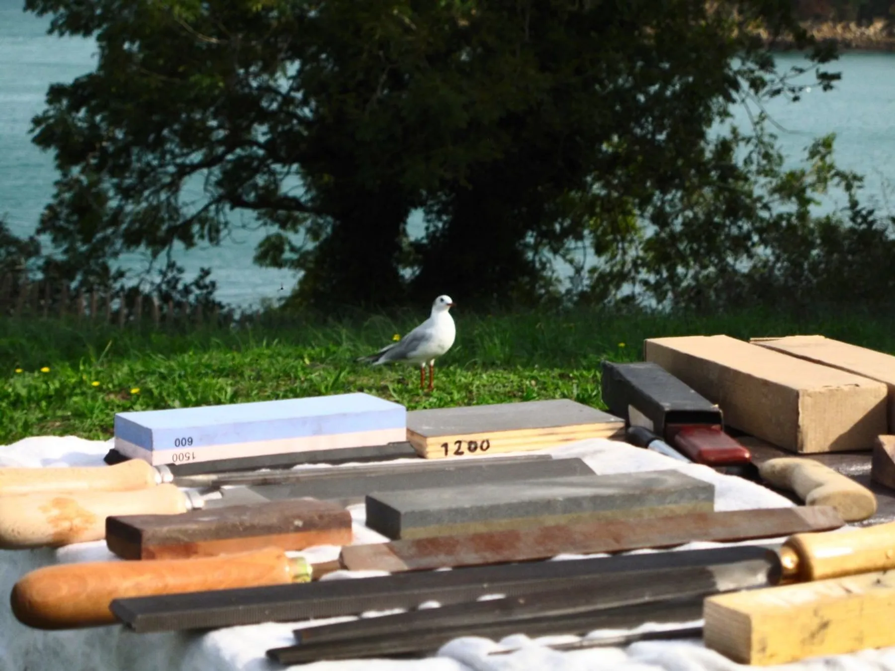 Découvrez l'affûtage sur pierre dans le Morbihan - Image n°3 - Wecandoo