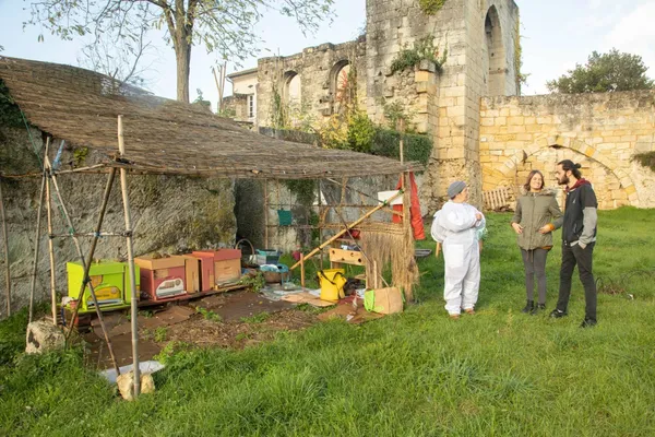 Initiez-vous à l'apiculture - Afbeelding nr. 1 - Wecandoo