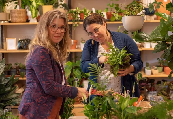 Wecandoo - Composez votre kokedama
