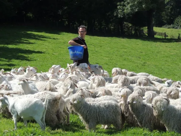 Visitez un élevage de chèvres angora et cachemire - Image n°3 - Wecandoo