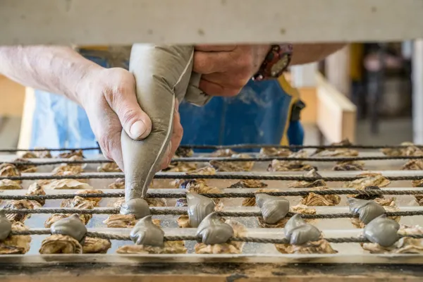 Initiez-vous à la culture ostréicole ! - Image n°3 - Wecandoo