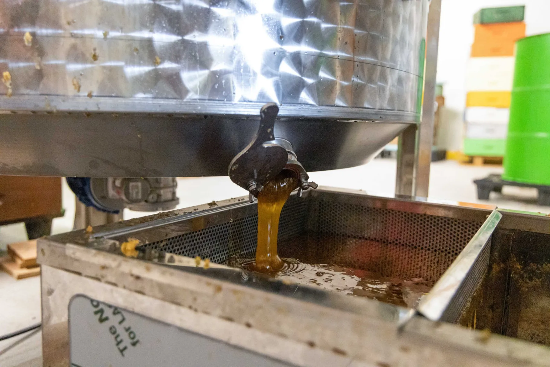 Initiez-vous à l'apiculture - Image n°4 - Wecandoo