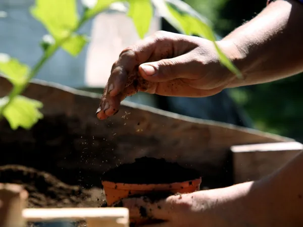 Initiez-vous à la permaculture - Image n°2 - Wecandoo