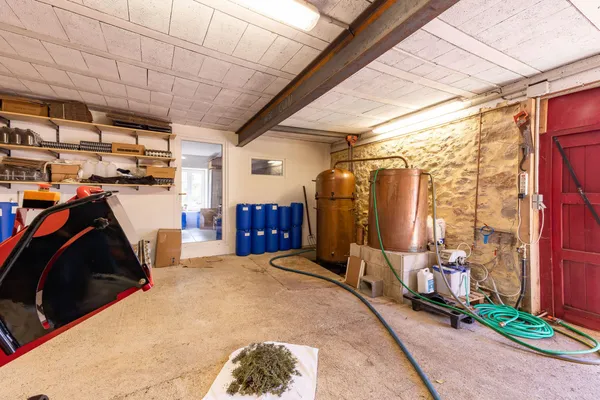 Partez à la découverte des plantes médicinales - Image n°4 - Wecandoo